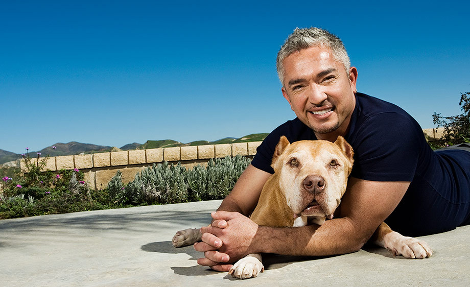 Video: César Millán, El Encantador De Perros, Fue Engañado Y Lo Perdió Todo