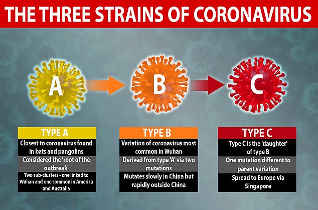 Hay Tres Tipos Distintos De Coronavirus En El Mundo