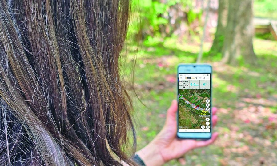 Navegando en el Delta