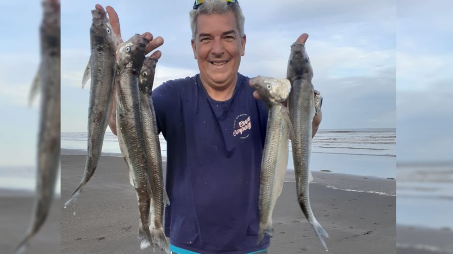 Evaluación de la captura