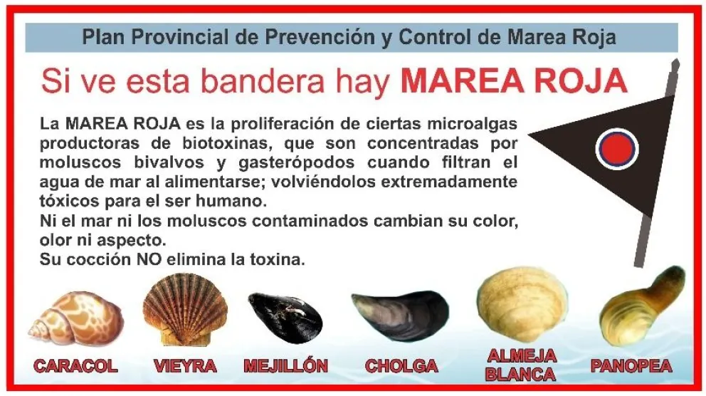 Controles de calidad en productos marinos