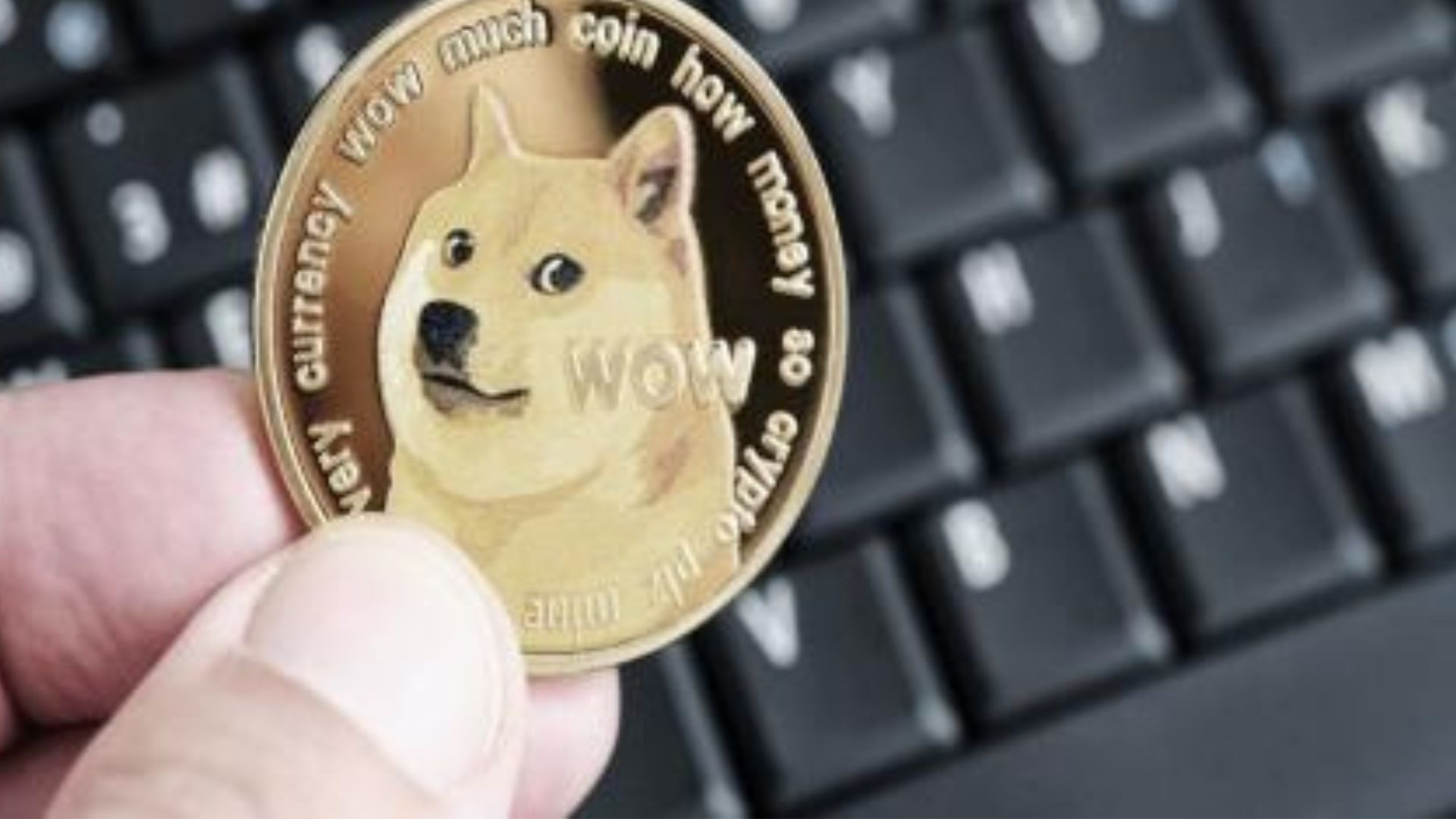 Lanzamiento nuevo ETF de Dogecoin