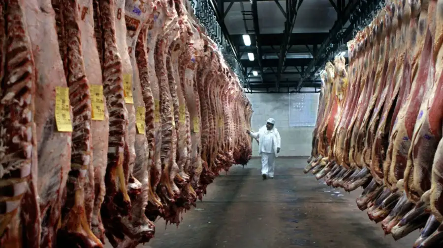 Exportación de carne