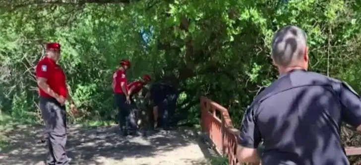 Crimen de Camila Merlo. Descampado