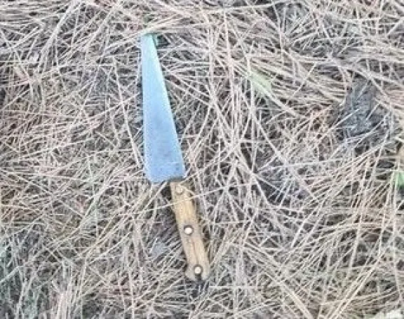 Incidente en Trevelin