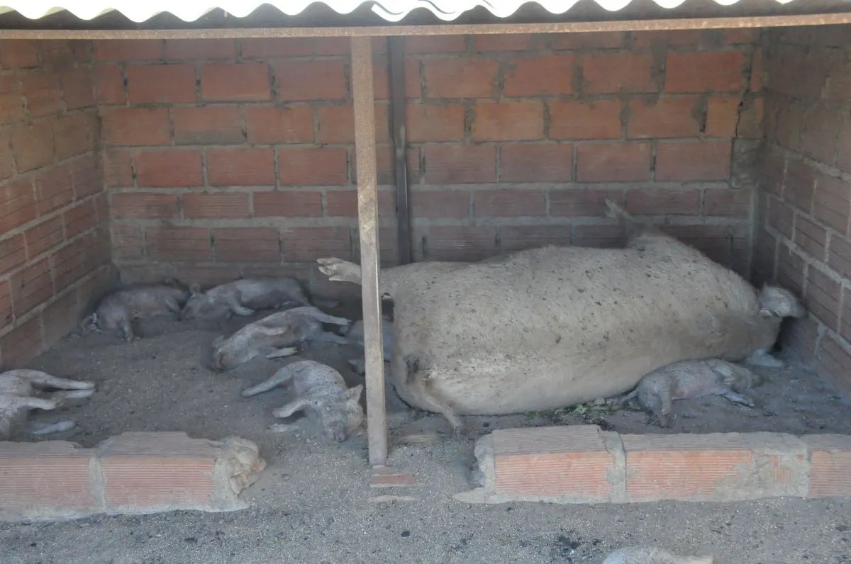Incendio en El Chañar