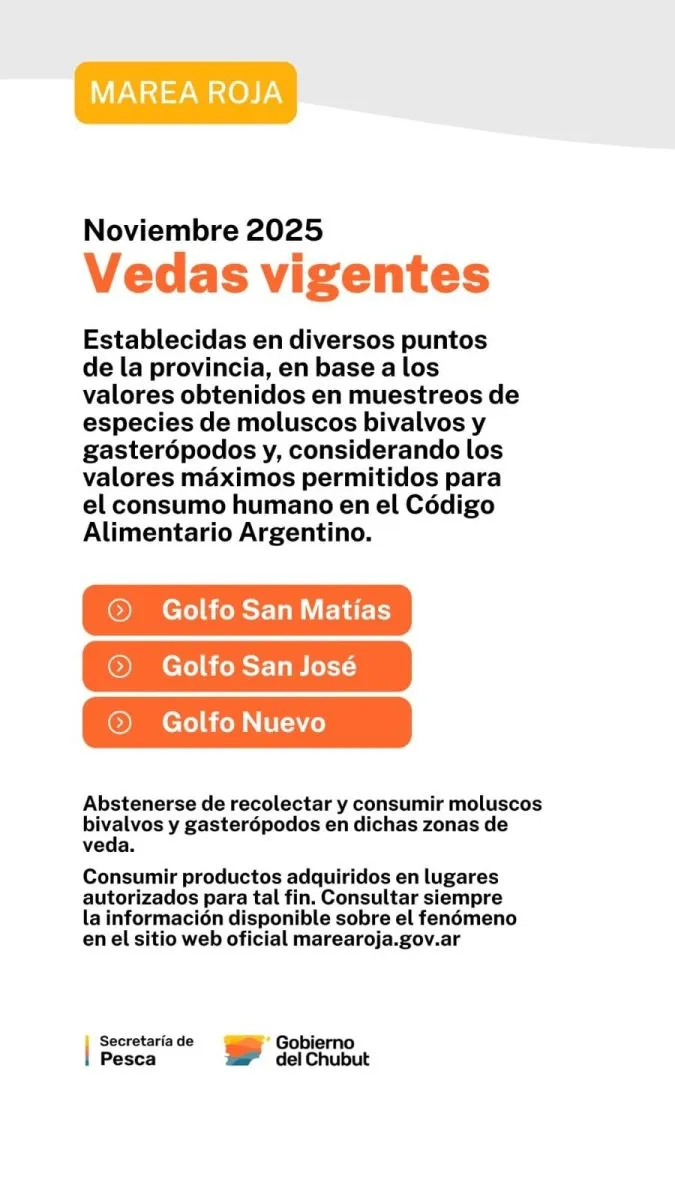 Moluscos en la costa de Chubut