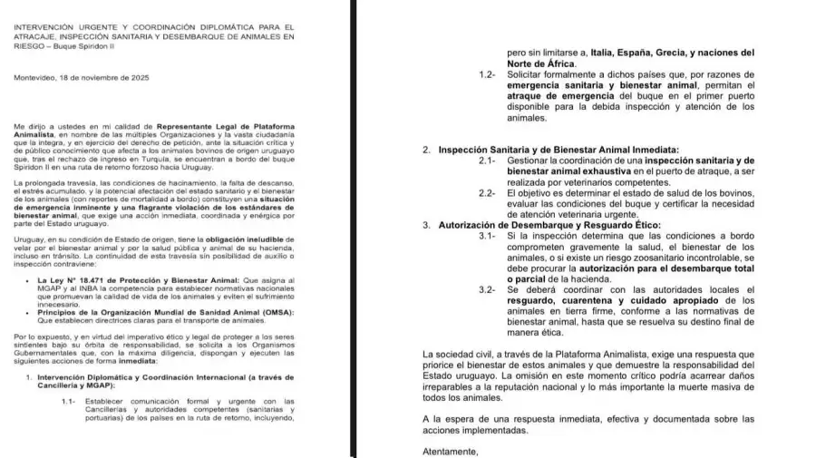 Crisis del Spiridon II