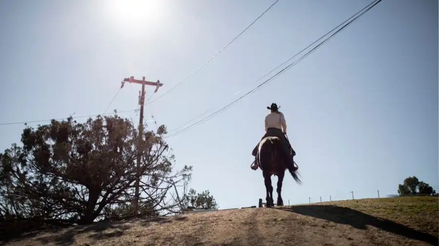 Día del Gaucho argentino
